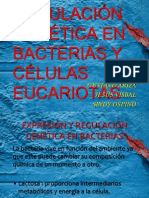 Expresión y Regulación Genetica en Bacterias y Células