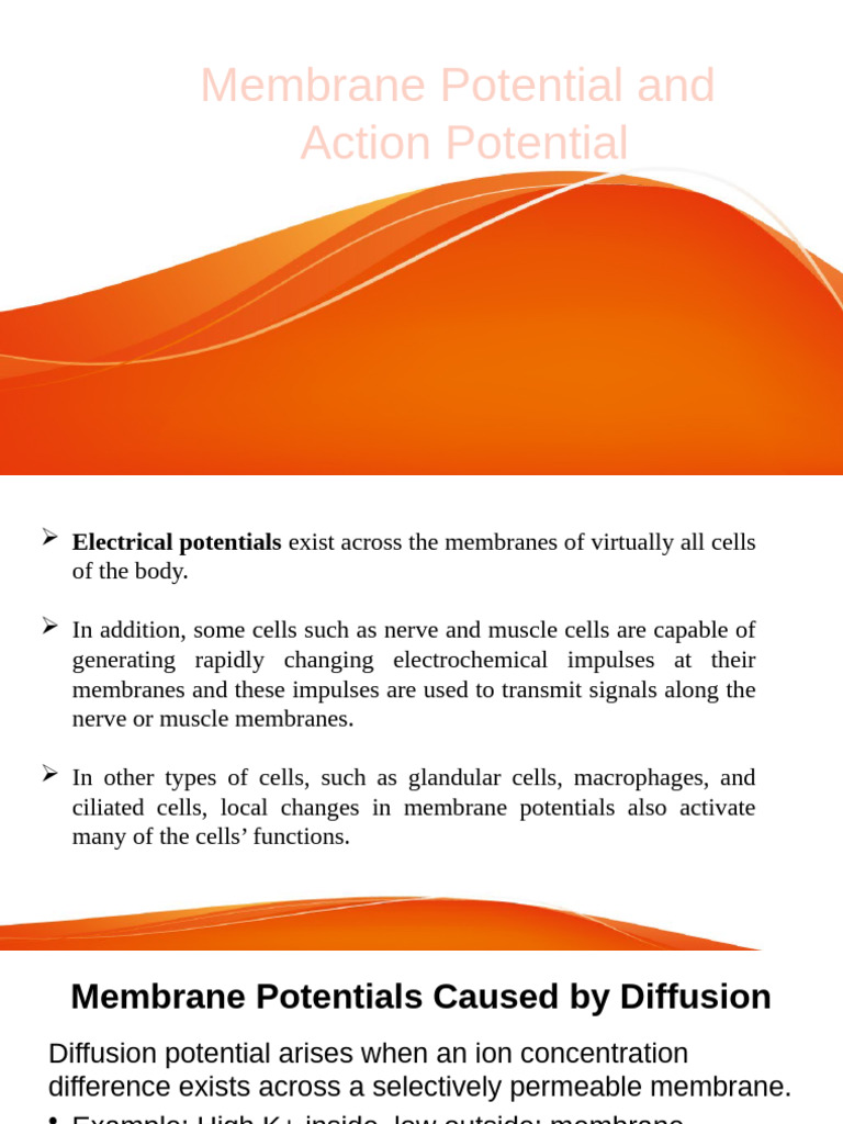 Membrane and Action Potentials Explained | PDF | Membrane Potential ...