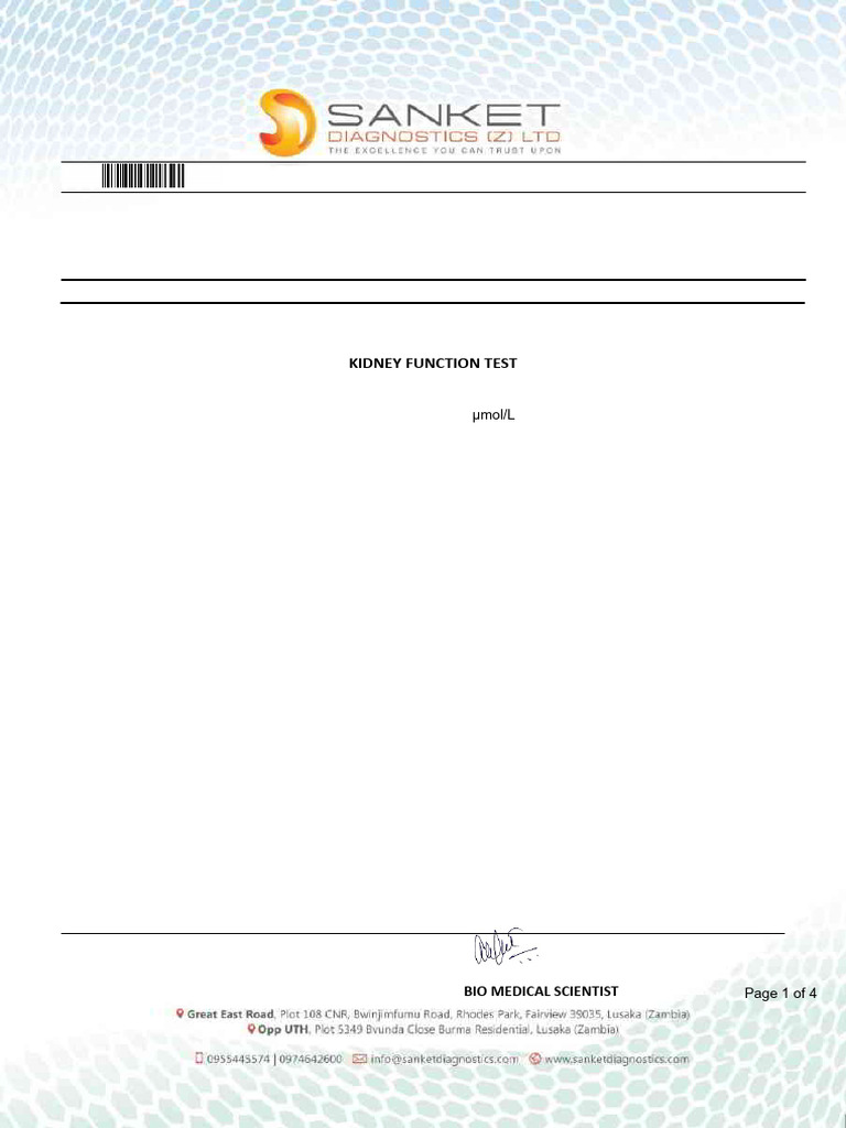 Comprehensive Blood Test Report | PDF | Glycated Hemoglobin | High ...