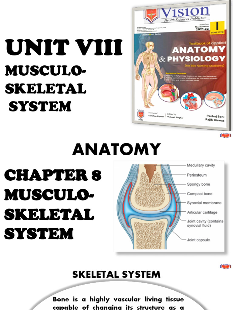 Musculoskeletal System Anatomy Overview | PDF | Muscle Contraction | Hip