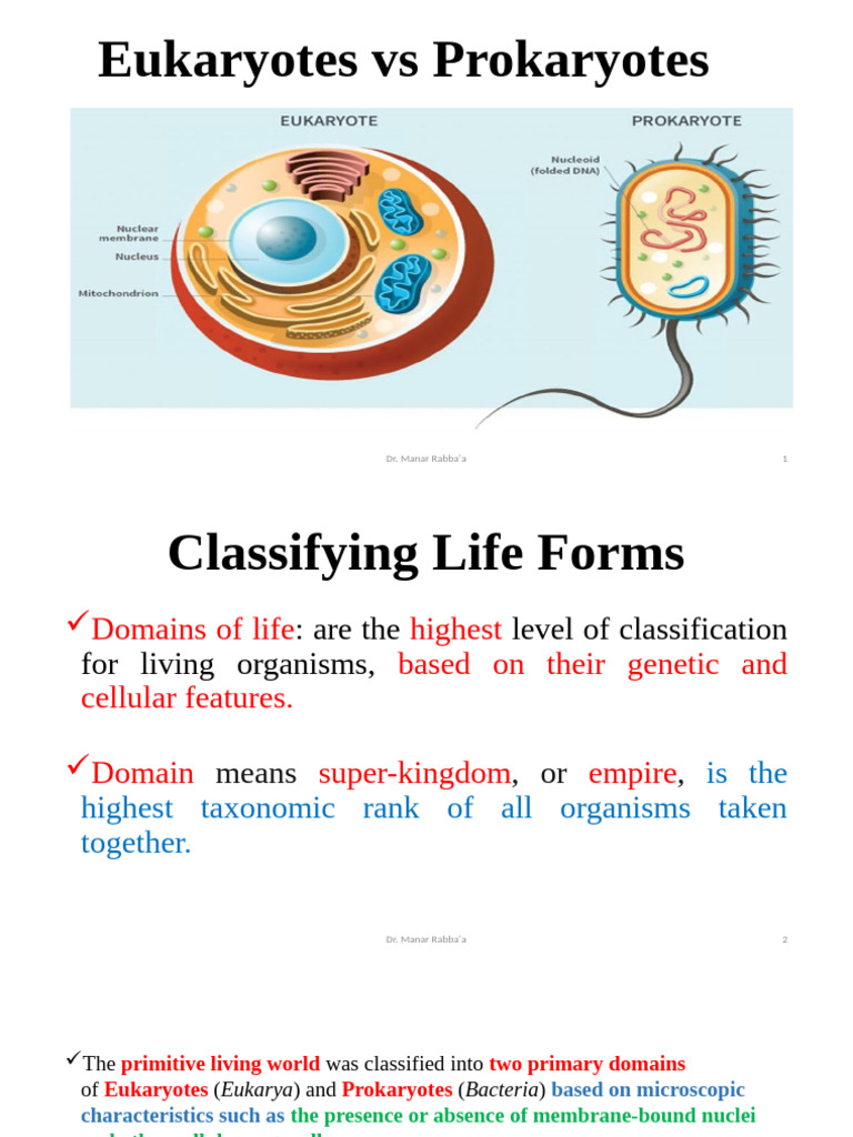 Eukaryotes vs Prokaryotes Overview | PDF | Prokaryote | Eukaryotes