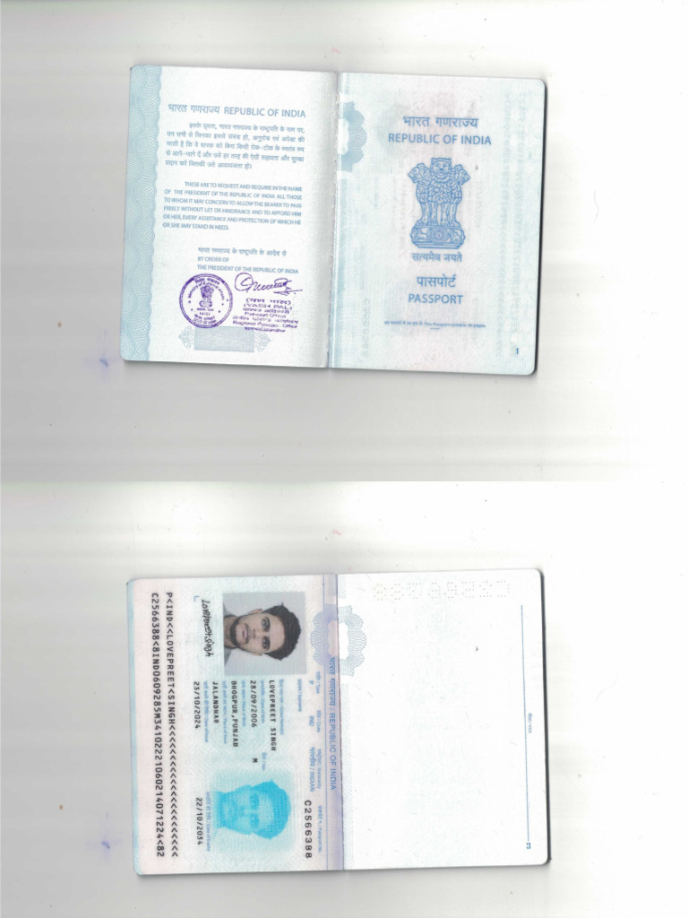 Lovepreet Singh | PDF