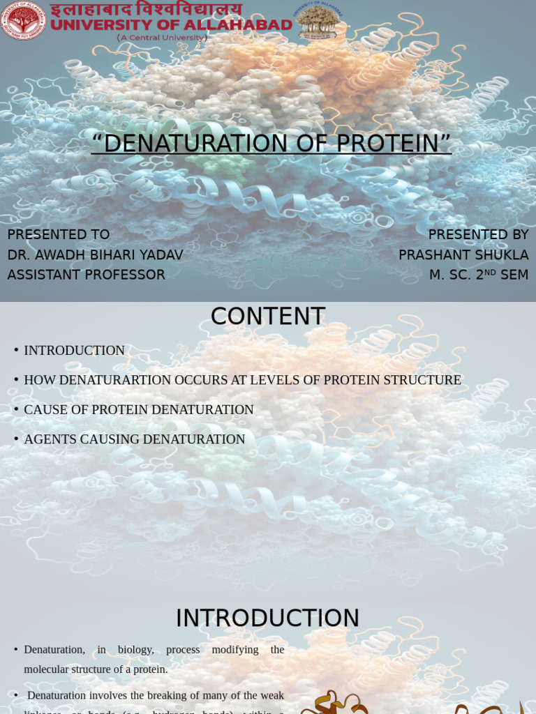 Understanding Protein Denaturation | PDF | Denaturation (Biochemistry ...