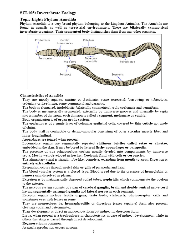 SZL105. Topic Eight Phylum Annelida | PDF | Biology | Zoology