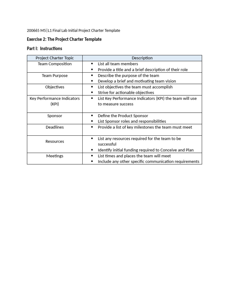 Final Lab Blank Initial Project Charter Template | PDF