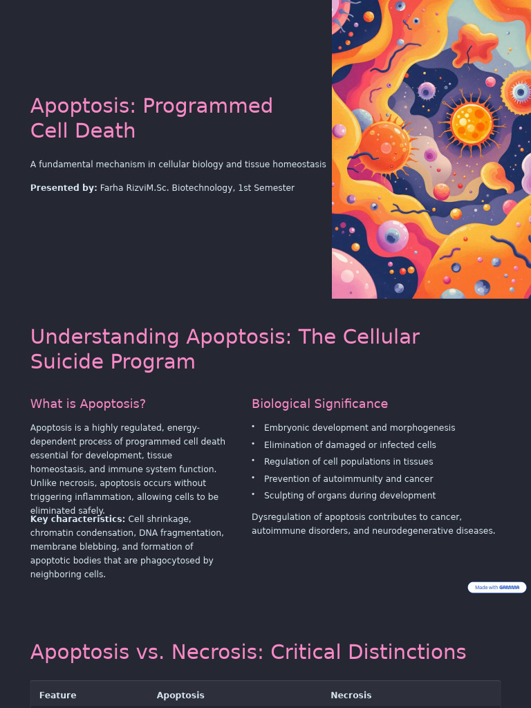 Apoptosis Programmed Cell Death (1) | PDF | Apoptosis | Caspase