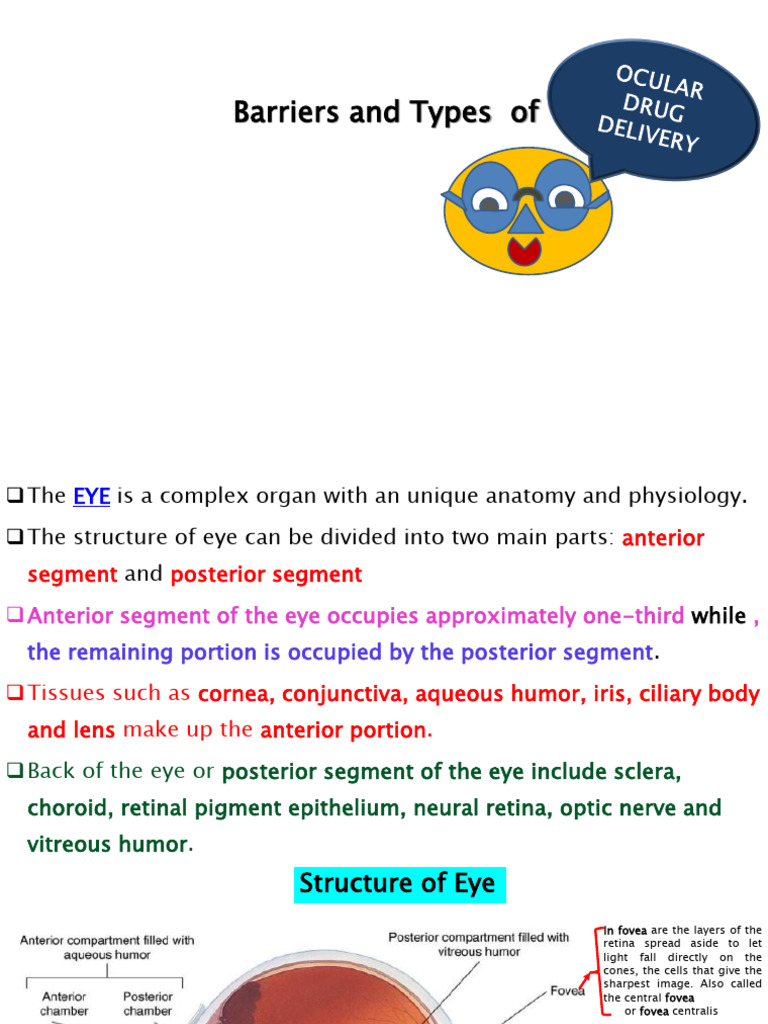 Inbound 8183584481541728888 | PDF | Human Eye | Cornea