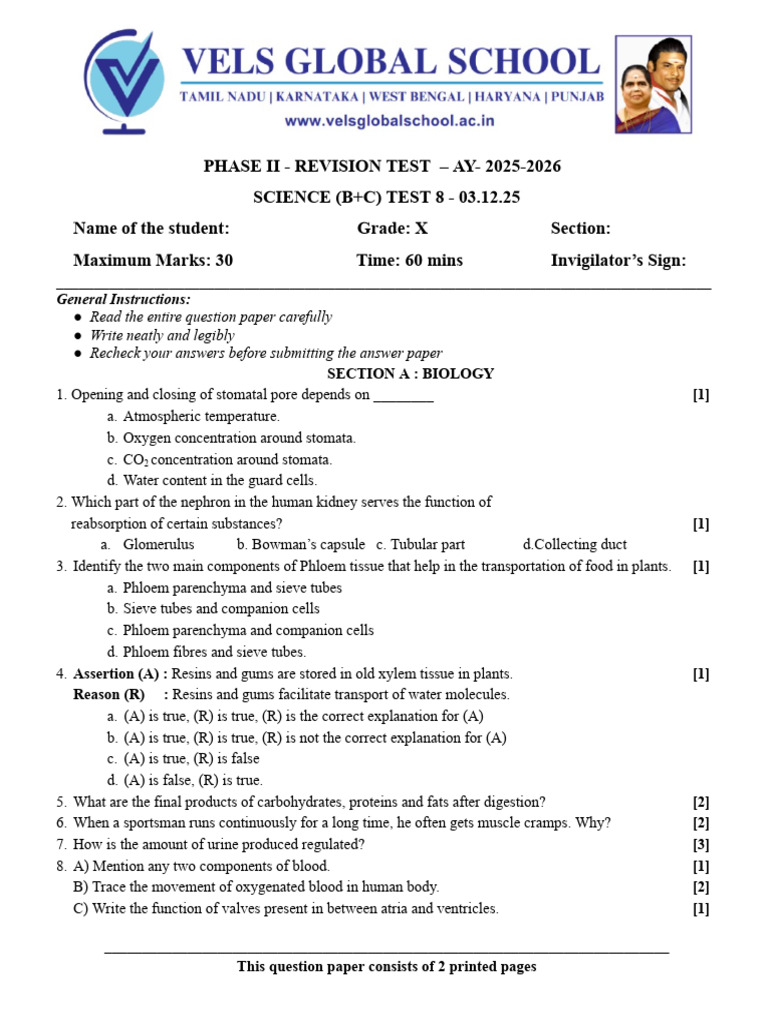 Science Revision Test AY 2025-2026 | PDF | Acid | Chemical Compounds