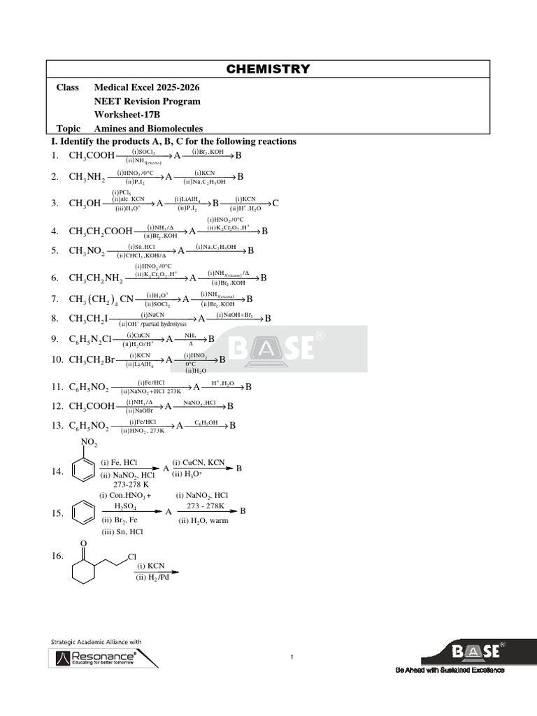 WS-17B Amines and Biomolecules | PDF | Amine | Chemistry