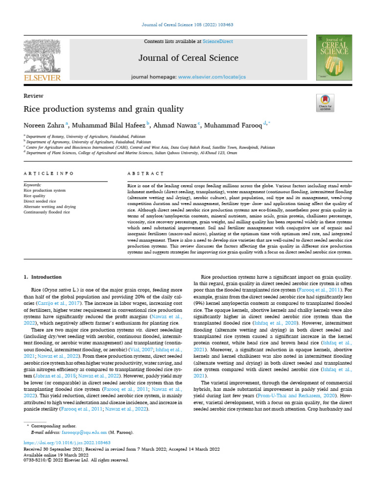 Rice Production Systems & Quality Factors | PDF | Rice | Cereals