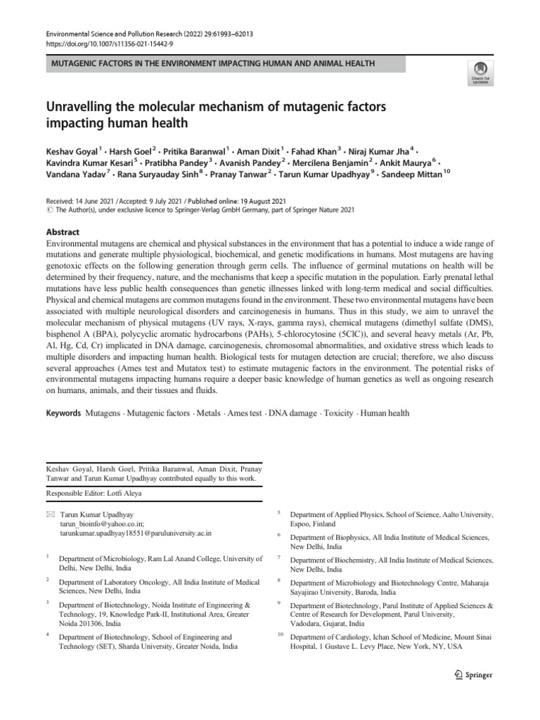 s11356-021-15442-9 | PDF | Mutagen | Ultraviolet