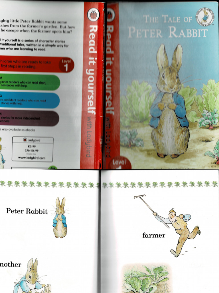 The Tale of Peter Rabbit | PDF