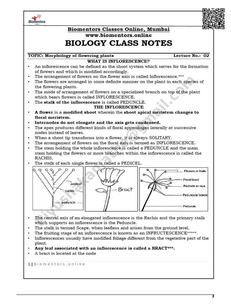 Morphology of Flowering Plants Lecture - 2 Notes | PDF | Flowers ...