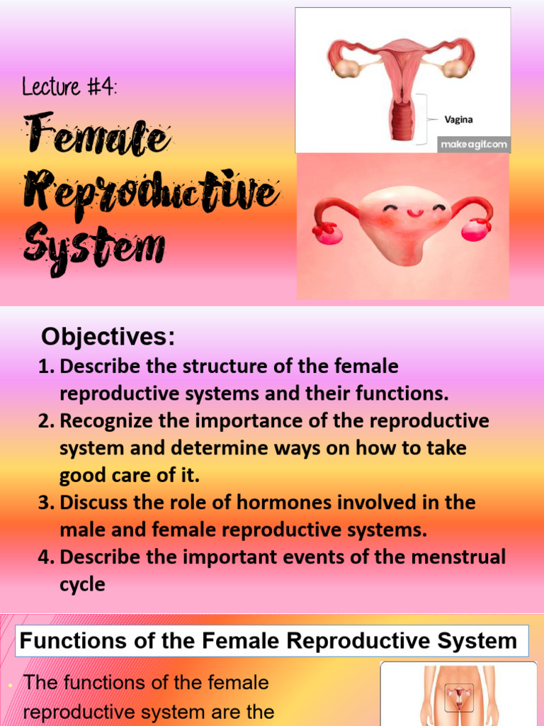 Q3 MELC 2 Lec 4 Female Reproductive System PDF Menstrual Cycle
