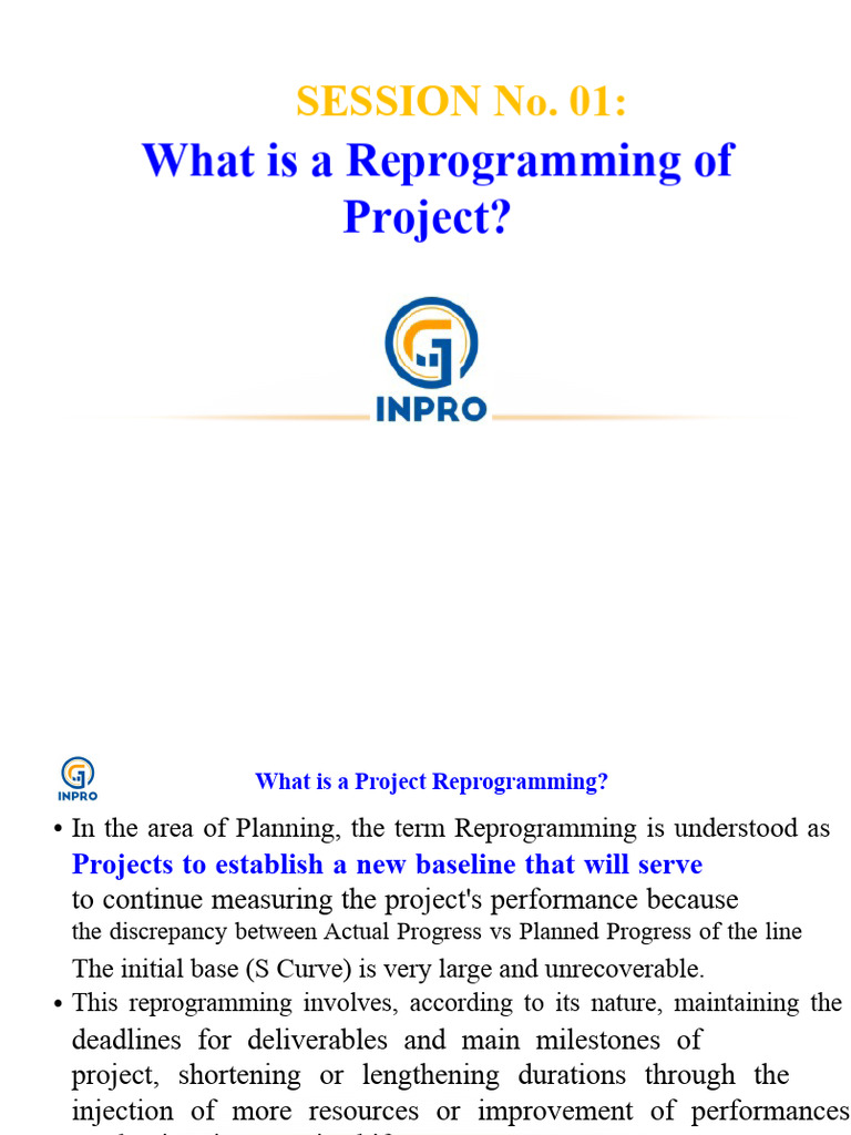 Understanding Project Reprogramming Basics | PDF