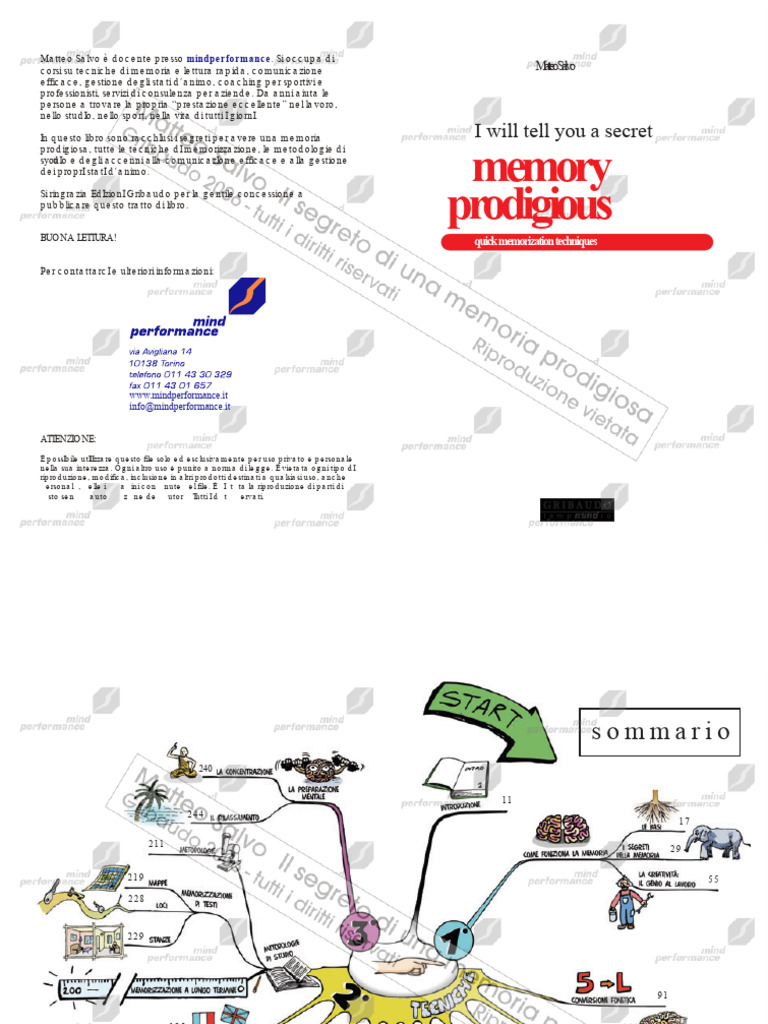 Matteo Salvo - The Secret of A Prodigious Memory - Gribaudo Editions ...