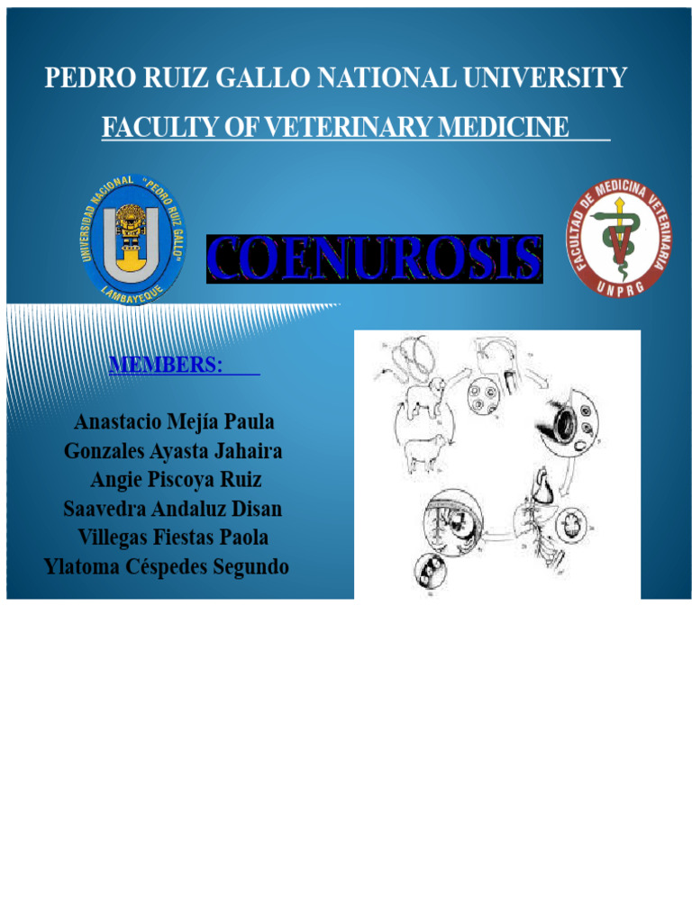 Coenurus Cerebralis in Sheep: Overview | PDF | Parasitism | Infection