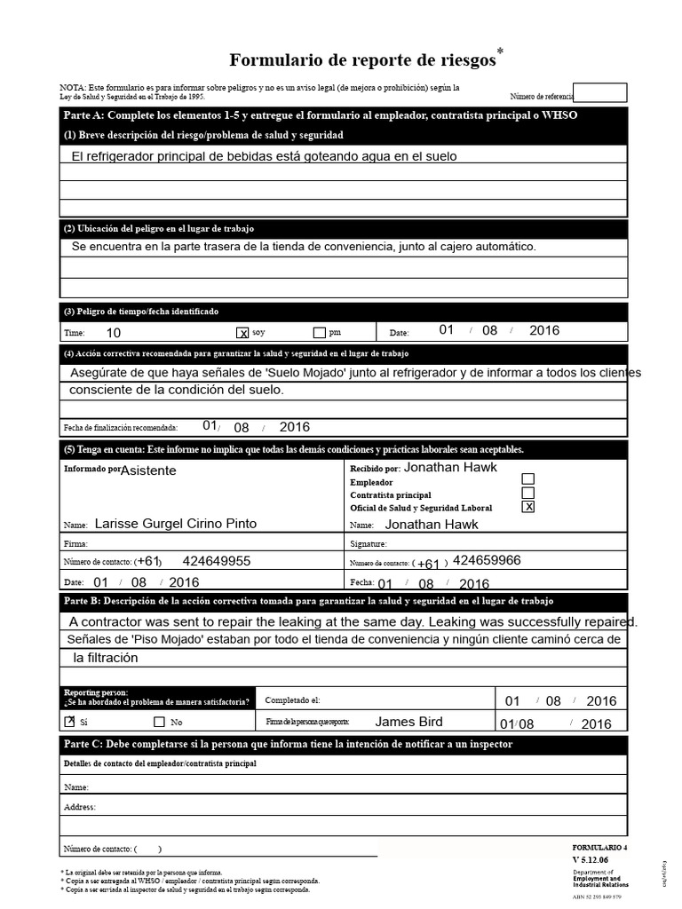 Reporte de Riesgos en el Trabajo | PDF