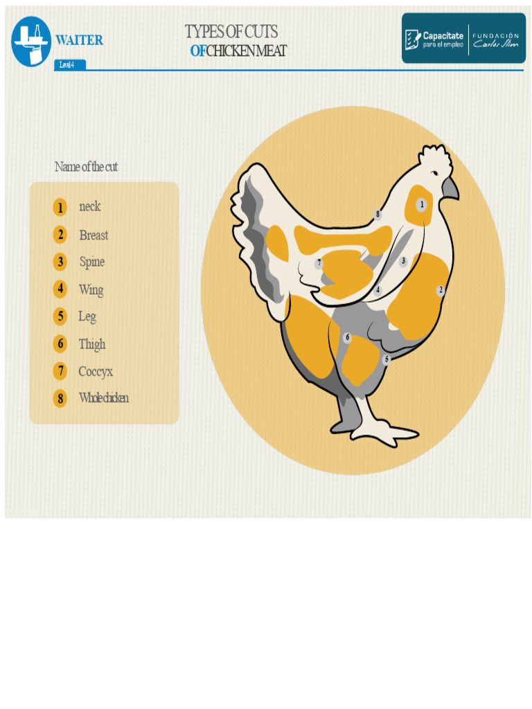 Chicken Cuts Pork Beef | PDF | Steak | Beef