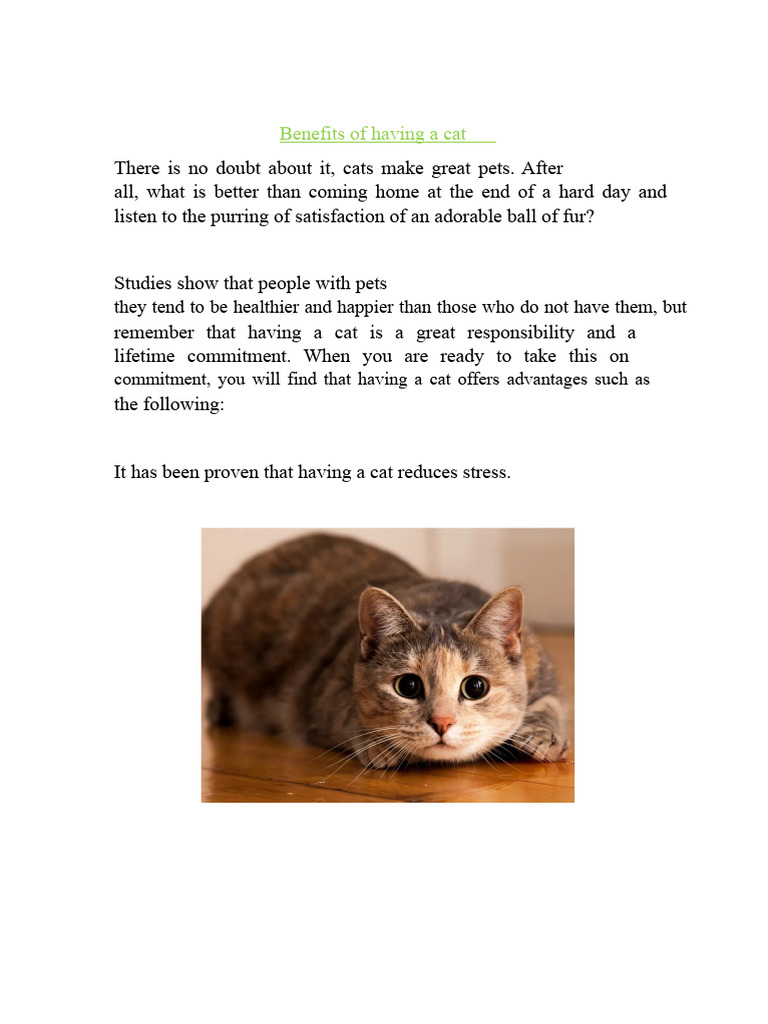 Benefits of Having A Cat | PDF