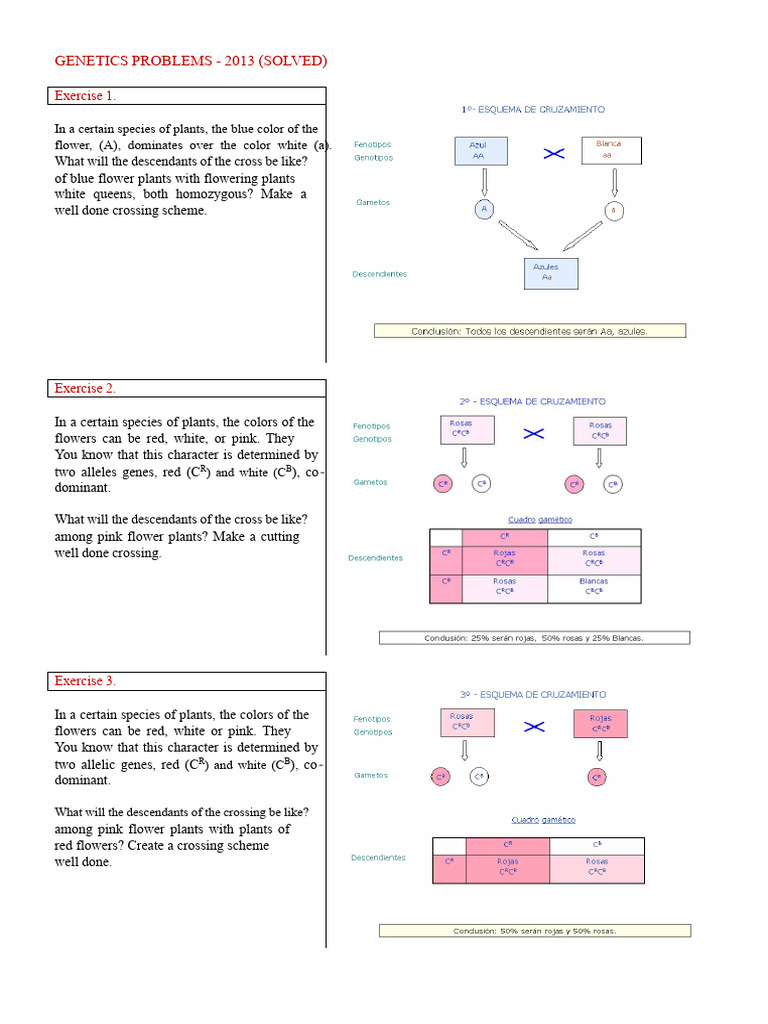Solved Genetics Problems 2013 Guide | PDF | Dominance (Genetics) | Genetics