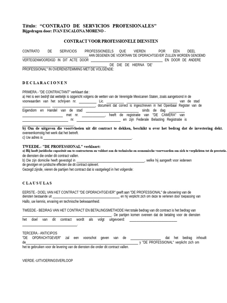 Format van Professionele Dienstverlening Contract | PDF