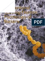 Conventional Scanning Electron Microscopy of Bacteria: Miloslav Kaláb, Ann-Fook Yang, Denise Chabot