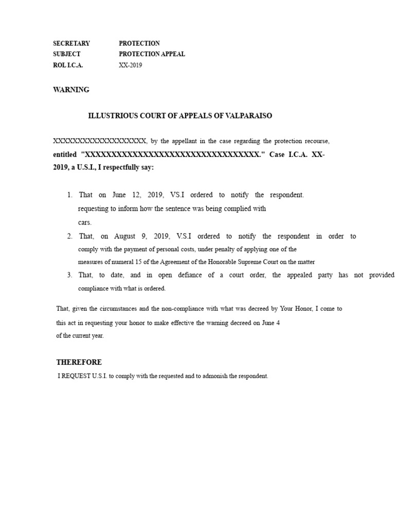 Protection Appeal Case XX-2019 Summary | PDF