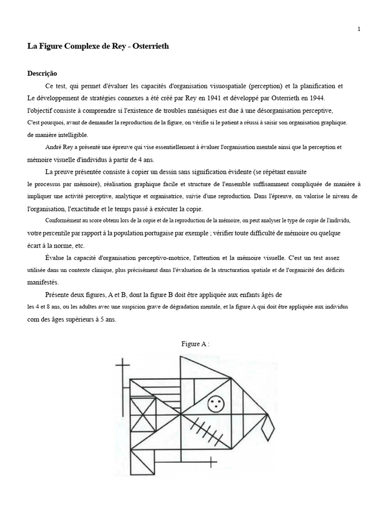 Évaluation de la Figure Complexe de Rey | PDF | Mémoire | Dessin
