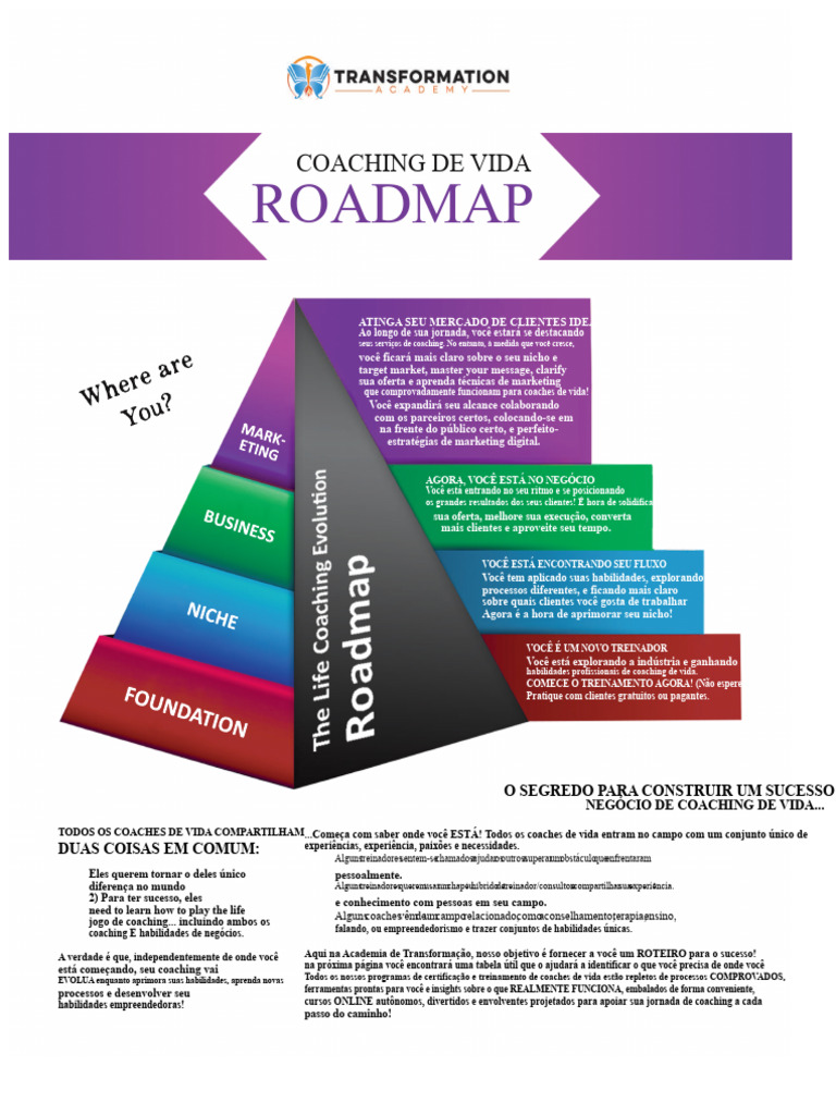 Roteiro para Coaches de Vida: Sucesso e Estratégias | PDF | Marketing