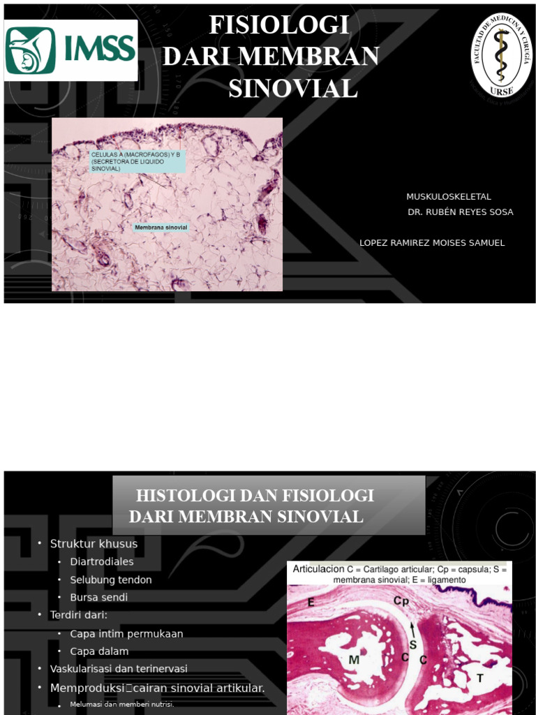 Fisiologi Membran Sinovial Muskuloskeletal | PDF