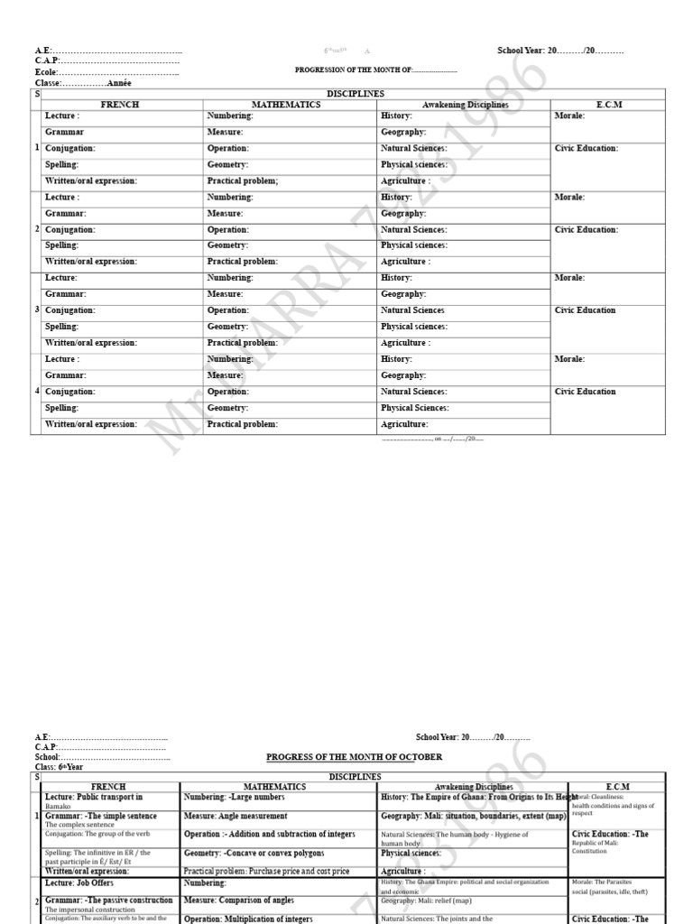 Monthly Progress Report for 6th Grade | PDF | Area | Grammatical ...