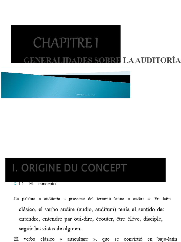 CAPÍTULO I Generalidades sobre la auditoría | PDF | Auditoría | Contralor