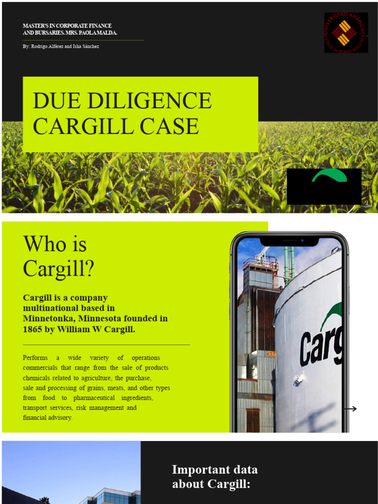 Example of DUE DILIGENCE Process | PDF | Risk | Economies