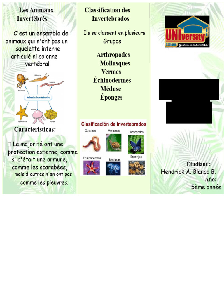 Classification des Animaux : Vertébrés et Invertébrés | PDF