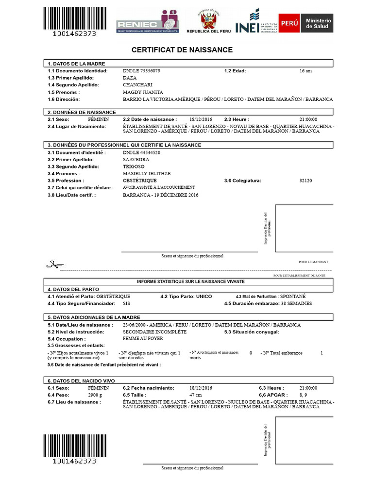 Certificat de Naissance - Détails Essentiels | PDF | Grossesse des ...