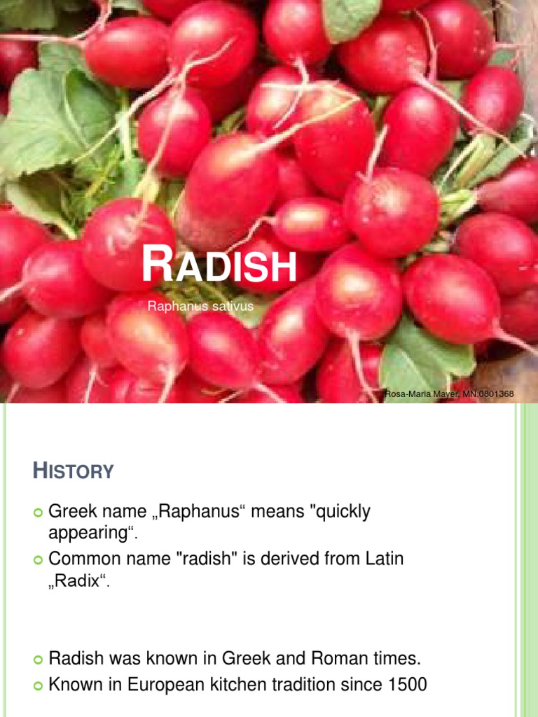 A Comprehensive Overview of the History, Cultivation, Varieties