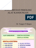 Anatomi Dan Fisiologi Alat Kandungan