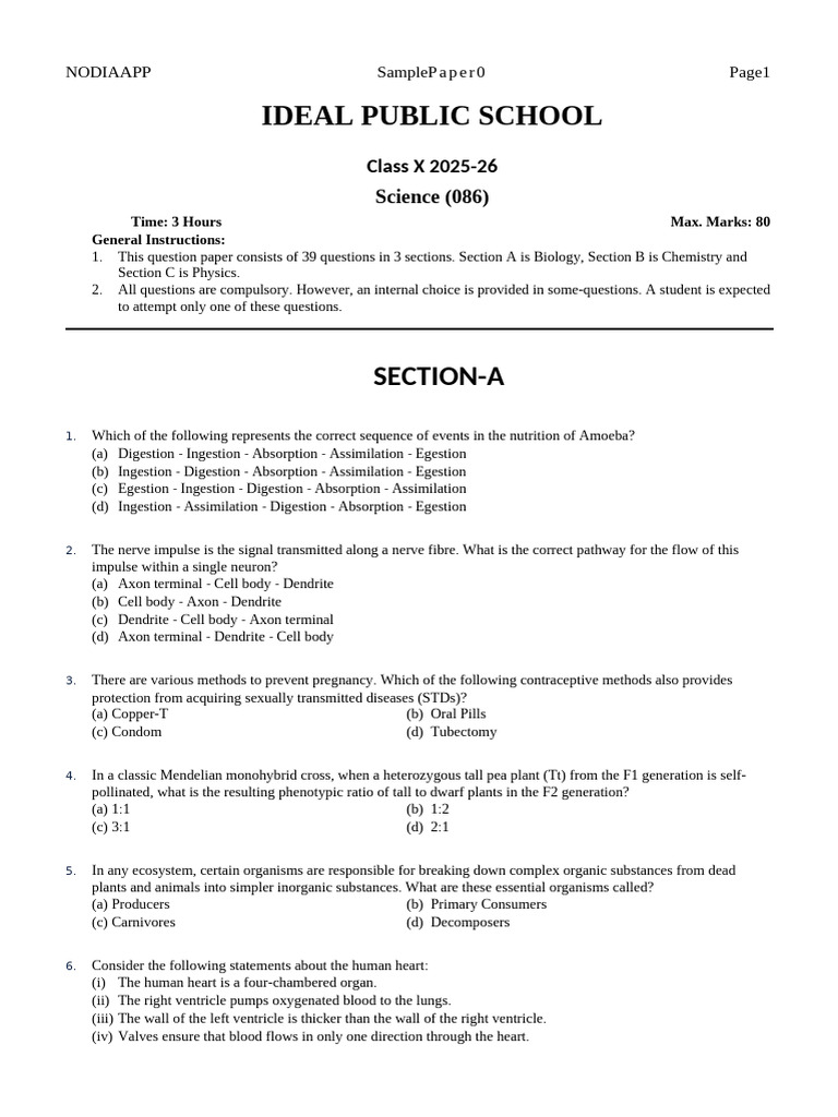 Class X Science Sample Paper 2025-26 | PDF | Rust | Iron