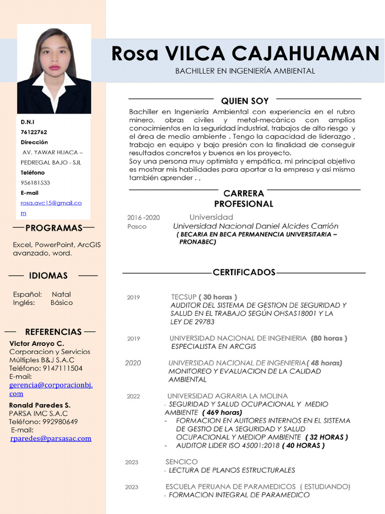 CV Rosa Vilca C | PDF | Seguridad y salud ocupacional | Sector ...