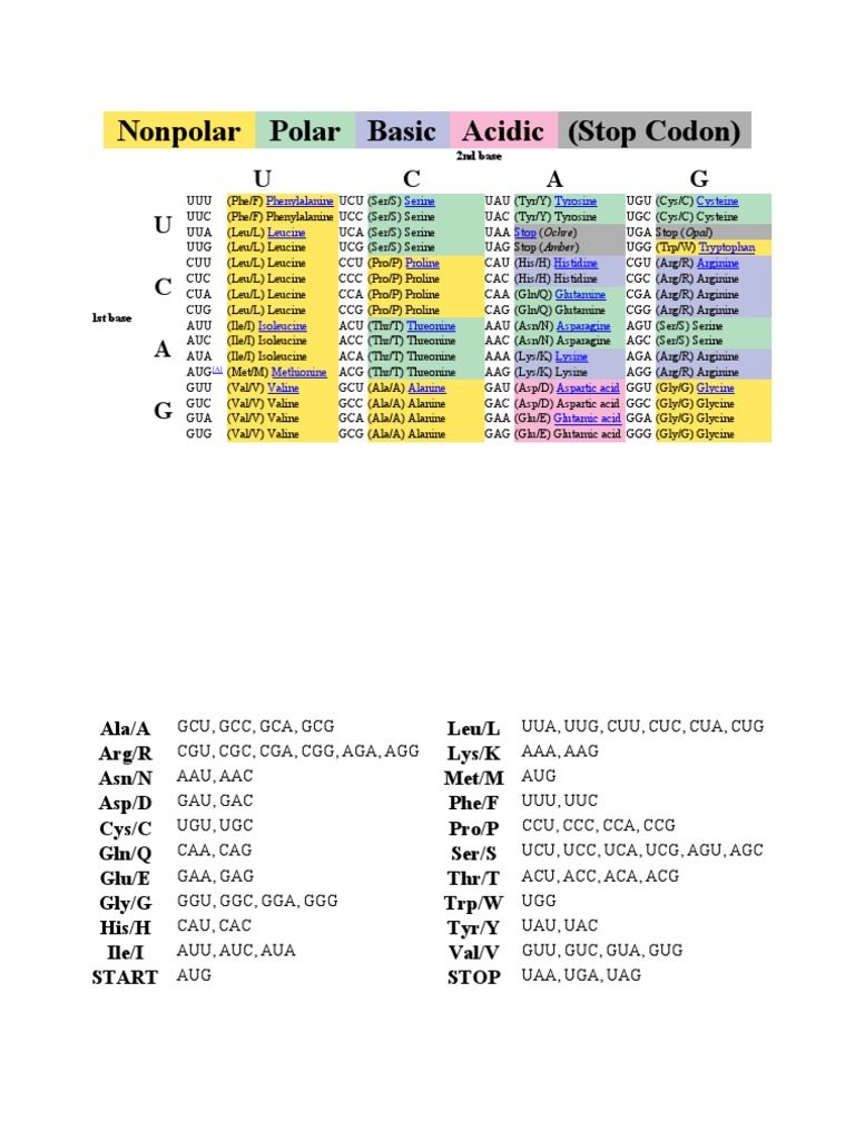 Genetic Code | PDF
