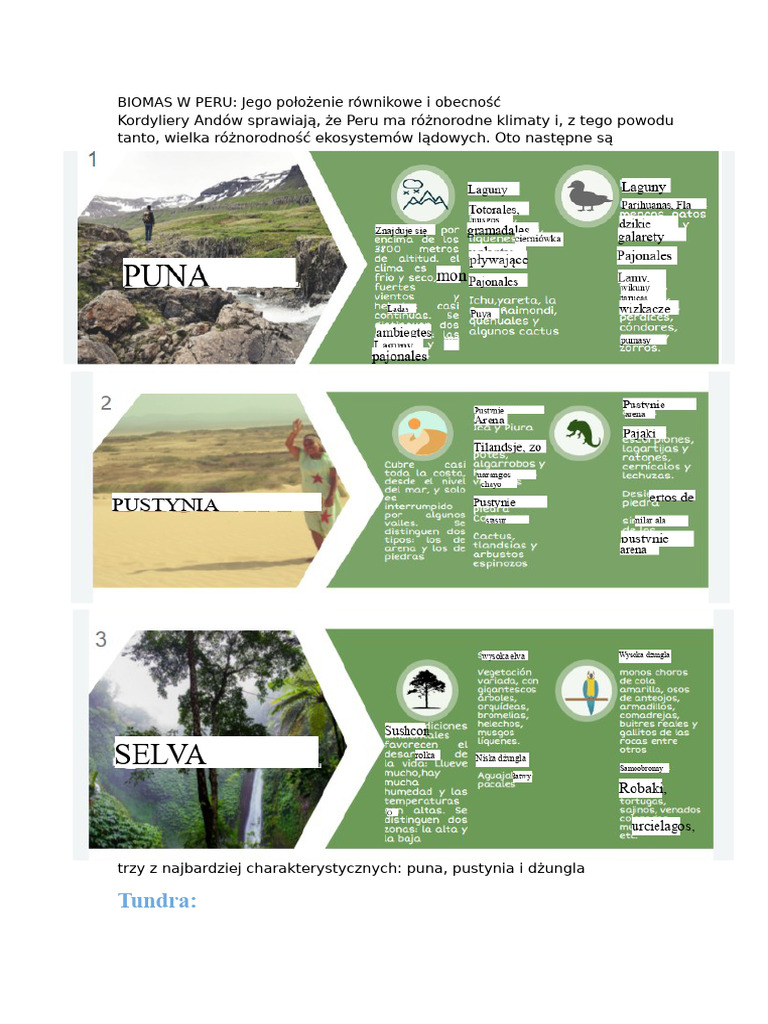 Biomy W Peru | PDF
