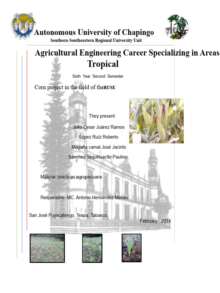 Corn Cultivation Project Overview | PDF | Maize | Agriculture