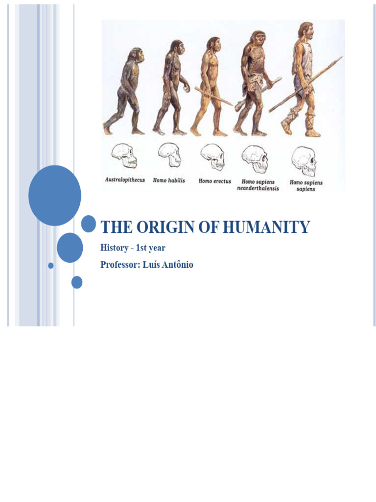 Evolution of Humanity Explained | PDF | Homo | Human