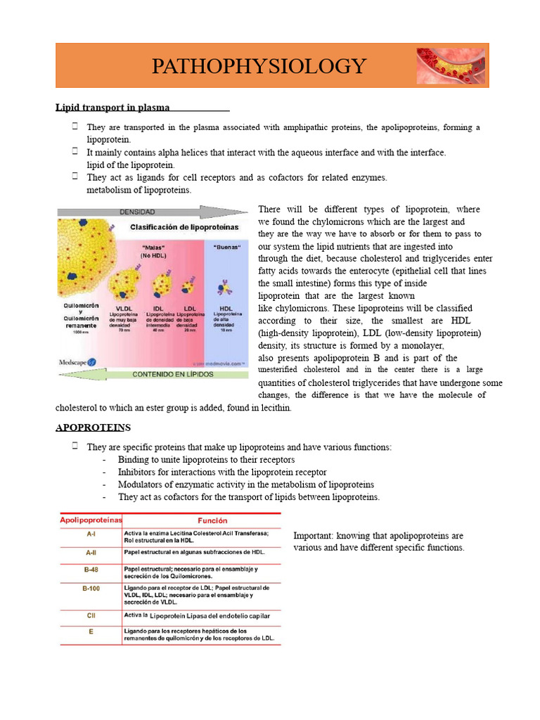Lipid Transport and Metabolism Overview | PDF | Lipoprotein | Cholesterol