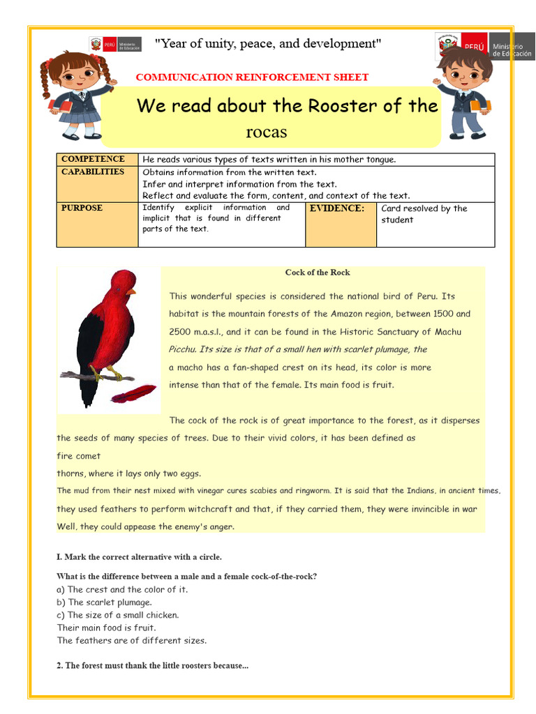 Let's Reinforce - We Read About The Rooster of The Rock | PDF | Beak ...