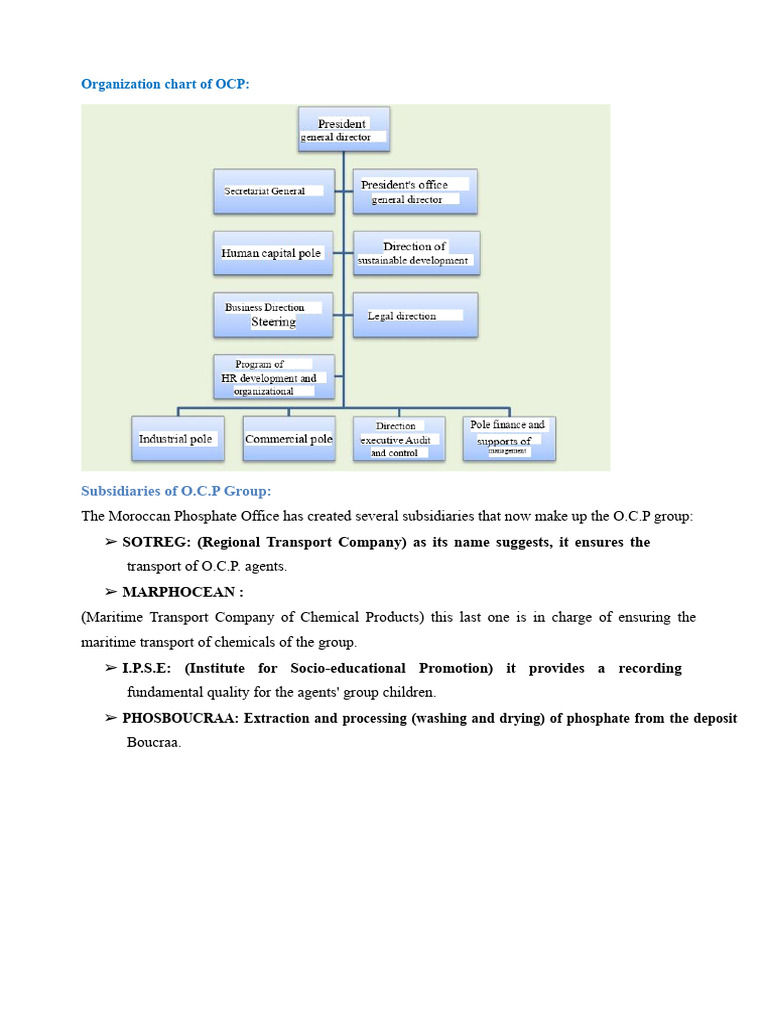 411699605-Organizational Chart-and-Subsidiaries-of-OCP | PDF