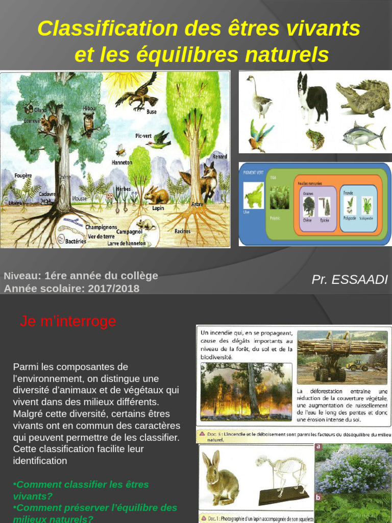 Classification des êtres vivants et écologie | PDF | Forêt | Écologie