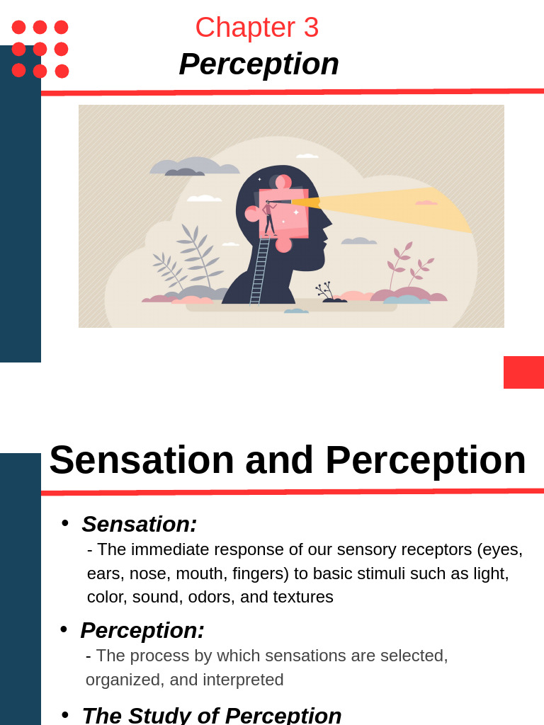 Understanding Sensation and Perception | PDF | Senses | Perception