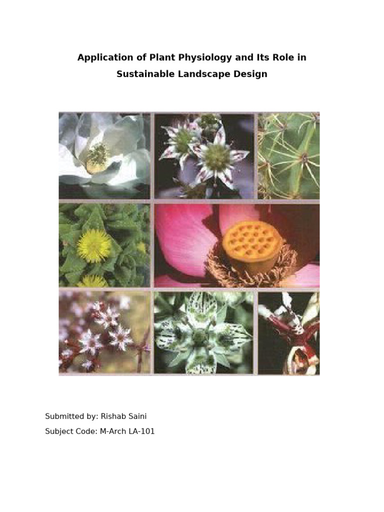 Plant Physiology in Sustainable Design | PDF | Ecology | Soil
